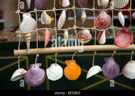 Die Seychellen, Mahe, Victoria, Sir Selwyn Selwyn-Clarke Market, Souvenir Stall, Muscheln in Net angezeigt Stockfoto