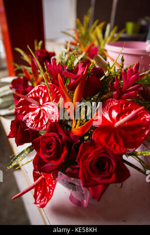 Die Seychellen, Mahe, Victoria, Sir Selwyn Selwyn-Clarke Market, Blume, Anzeige von roten anthurium Blumen Stockfoto