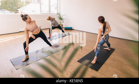 Drei Personen üben Yoga in der Klasse. Gruppe von Menschen, die sich auf Yoga Matte Dehnen und Verbiegen ihre Körper. Stockfoto