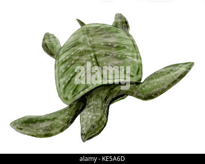 Archelon ischyros, testudines, oberkreide von usa. Stockfoto