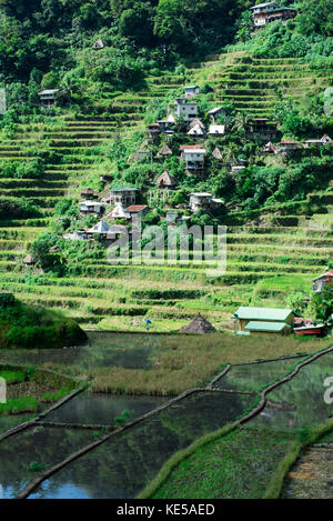 Batad Rice Terraces, Banaue, Ifugao, Philippinen. Stockfoto