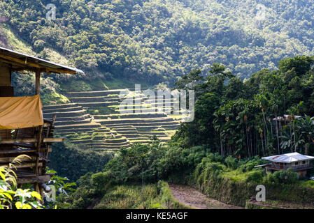 Batad Rice Terraces, Banaue, Ifugao, Philippinen. Stockfoto