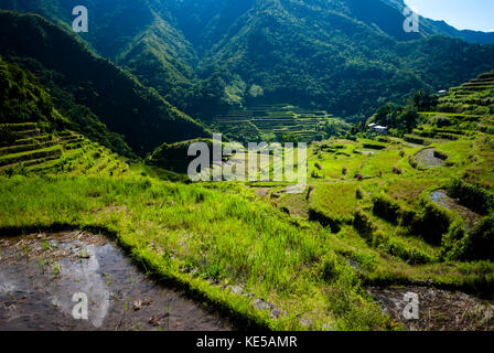 Batad Rice Terraces, Banaue, Ifugao, Philippinen. Stockfoto