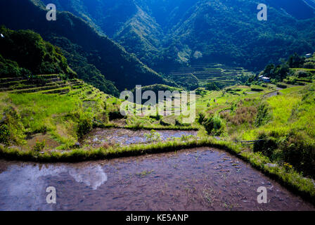 Batad Rice Terraces, Banaue, Ifugao, Philippinen. Stockfoto