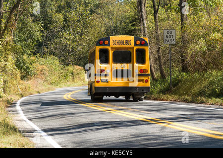 American School Bus fährt durch Wald, Pennsylvania, United States. Stockfoto