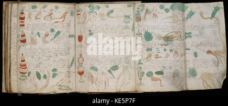 Das Voynich-Manuskript, ein geheimnisvolles und unentziffertes Buch aus dem frühen 15. Jahrhundert, enthält einzigartige Illustrationen und eine unbekannte Schrift. Seine Ursprünge und Bedeutung bleiben eines der größten ungelösten Geheimnisse in der Kryptographie und Geschichte. Stockfoto