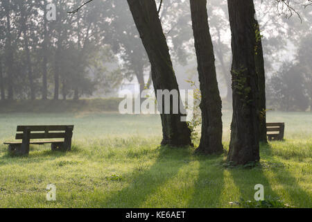 Green City Park am nebligen Morgen Stockfoto