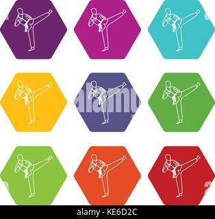 Wushu Meister Icon Set Farbe hexaeder Stock Vektor