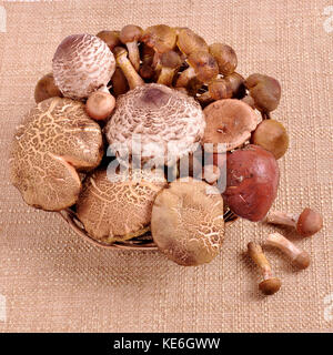 Wald Pilze in einer Rattan Platte auf einem braunen Serviette Stockfoto