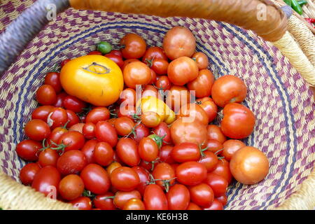 Sommer Gemüse aus dem Garten in Körben Stockfoto