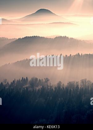 Herbst Daybreak. misty Erwachen in einem wunderschönen Hügel. Gipfel der Hügel ragen sind von nebligen Landschaft Stockfoto