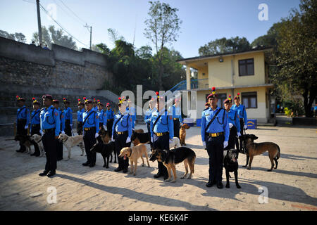 Kathmandu, Nepal. 18 Okt, 2017. Nepal Polizisten zusammen mit ihren Hunden besucht 'kukur Tihar' Hund Festival wie die Prozession der tihar Feiern im maharajgunj, Kathmandu, Nepal am Mittwoch, 18. Oktober 2017. tihar ist ein Hindu Festival in Nepal für 5 Tage gefeiert. nepalesische Volk Anbetung Hund, feed leckeres Essen am zweiten Tag des tihar. Hund ist ein zuverlässiger Schutz des menschlichen Wesens. tihar Mark wie das Festival der Lichter, als Menschen decorats Ihrer Bewohner durch verschiedene Blumengirlanden, Öllampen und bunte Glühbirnen. Credit: narayan maharjan/Pacific Press/alamy leben Nachrichten Stockfoto