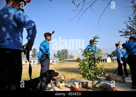 Kathmandu, Nepal. 18 Okt, 2017. Nepal Polizisten zusammen mit ihren Hunden besucht 'kukur Tihar' Hund Festival wie die Prozession der tihar Feiern im maharajgunj, Kathmandu, Nepal am Mittwoch, 18. Oktober 2017. tihar ist ein Hindu Festival in Nepal für 5 Tage gefeiert. nepalesische Volk Anbetung Hund, feed leckeres Essen am zweiten Tag des tihar. Hund ist ein zuverlässiger Schutz des menschlichen Wesens. tihar Mark wie das Festival der Lichter, als Menschen decorats Ihrer Bewohner durch verschiedene Blumengirlanden, Öllampen und bunte Glühbirnen. Credit: narayan maharjan/Pacific Press/alamy leben Nachrichten Stockfoto