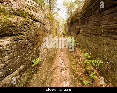 Tiefe Eingang weg in Sandstein blockieren. historischen Weg durch den Nadelwald Stockfoto