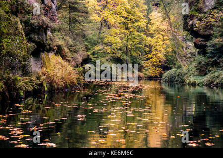 Die kamnitz Schlucht, (deutsch: kamnitzklamm oder Deutsch: edmundsklamm) ist eine felsige Schlucht zwischen Hřensko (Herrnskretschen), mezná und srbská Kamenice in Bo Stockfoto