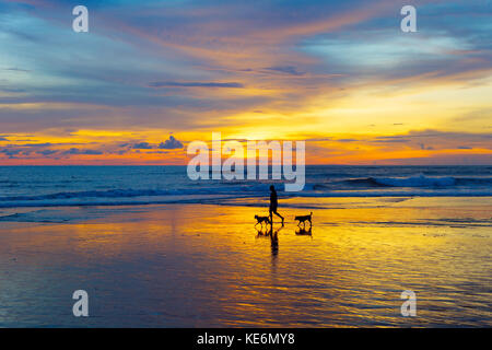 Silhouette der Mann mit den Hunden am Strand bei Sonnenuntergang. die Insel Bali, Indonesien Stockfoto