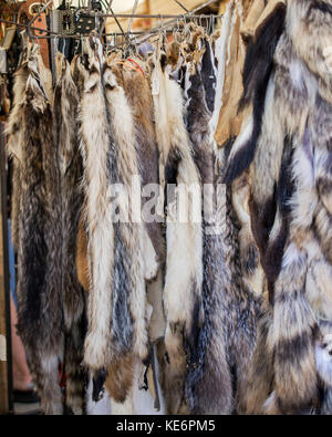 Dachs und Waschbär skins in einem Markt hängen, zum Verkauf - Vintage Kleidung Konzept Stockfoto