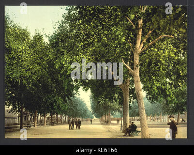 Die Promenade, Montpellier, Frankreich LCCN 2001698471 Stockfoto