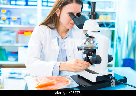 Fische Forschung im Labor. Lebensmittelindustrie und Qualitätskontrolle Fisch Stockfoto