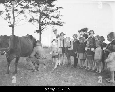 9536 Kinder trinken Milch von einer Kuh wird gemolken Dalwood Home Stockfoto