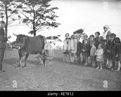 9528 Kinder sehen eine Kuh gemolken Dalwood Home, Stockfoto