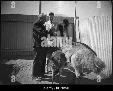 31863 Tiere in privaten Zoo Motorhaube registrieren erkennt dies als Ken Read Whyalla Stockfoto