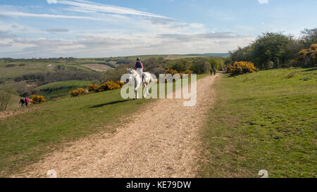 Frau auf dem Pferd, Reiten in South Downs National Park, Sussex, England., an einem warmen Nachmittag im Sommer Stockfoto