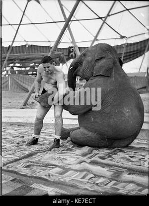 19052 Wrestler erhabenen Blomfield für Leichhardt Stadion genommen Stockfoto