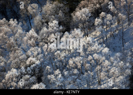 Luftaufnahme von frostigen Bäumen, Alaska, Vereinigte Staaten von Amerika Stockfoto