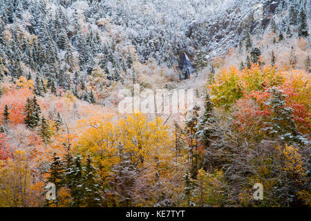 Wasserfall und Herbstfarben im Schnee auf Sugarloaf Mountain, eine geschützte Krone Wilderness Area entlang der nordöstlichen Margaree River bei Big Intervale Stockfoto