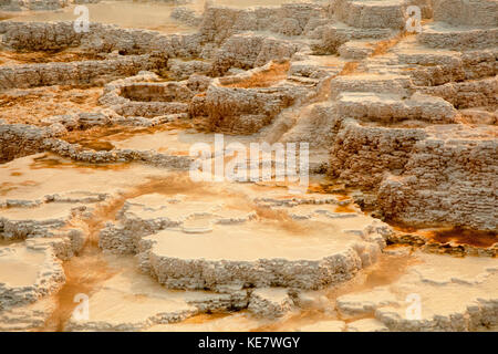 Terrassen (Aus kristallines Calciumcarbonat) dominieren die Landschaft in Mammoth Hot Springs, Yellowstone National Park Stockfoto