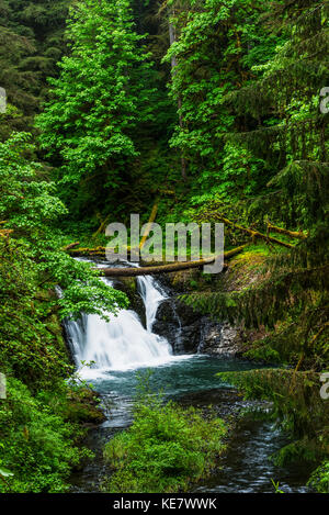 Twin Falls, einer der kleineren Wasserfälle bei Silver Falls State Park, Silverton, Oregon, Vereinigte Staaten von Amerika Stockfoto