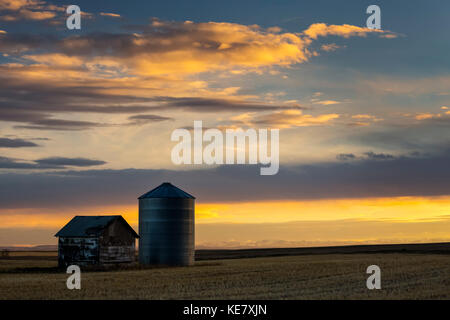 Ein Gebäude aus Holz und Metall Korntank bei Sonnenuntergang mit bunten Wolken und blauer Himmel; Blackie, Alberta, Kanada Stockfoto