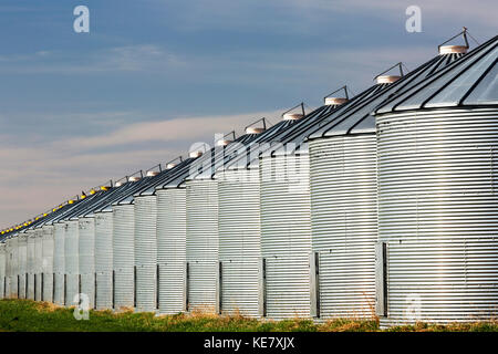 Nahaufnahme von einer langen Reihe von glänzenden Metall Korn bins Sonnenlicht reflektieren mit blauem Himmel und Wolken; Beiseker, Alberta, Kanada Stockfoto