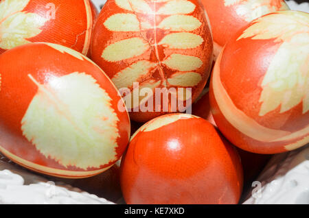Ostereier mit dekorativen Muster braune Zwiebel schält gefärbt. Stockfoto