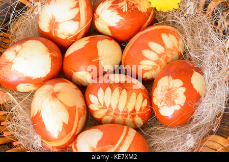 Ostereier mit dekorativen Muster braune Zwiebel schält gefärbt. Stockfoto