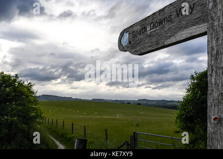 Holz- Schilder markieren die South Downs Way National Park Trail von Winchester zu Eastbourne England Stockfoto