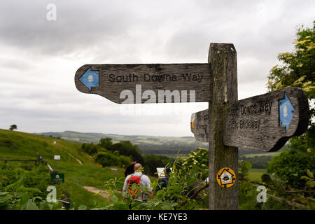 Holz- Schilder markieren die South Downs Way National Park Trail von Winchester zu Eastbourne England Stockfoto