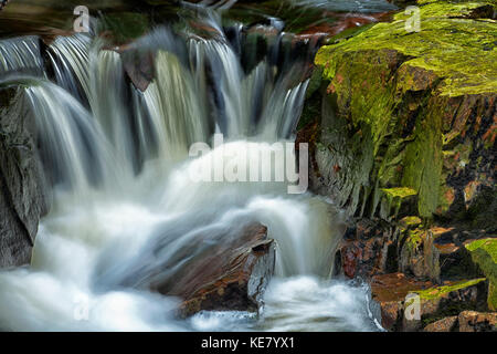 Ein Bach über schroffe Felsen mit grünen Flechten bedeckt fließend, sleepy Cove; Grand Lake, Nova Scotia, Kanada Stockfoto