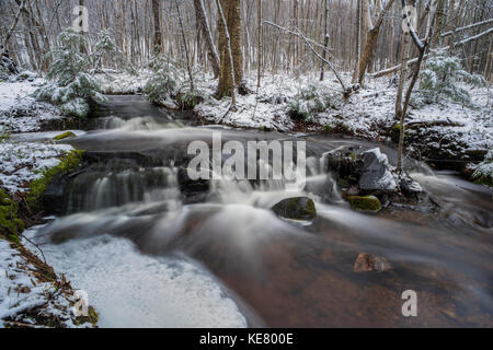 Fließt das Wasser über die Felsen in einem Bach im Frühling mit Spuren von Schnee in den Wald; Redbridge, Ontario, Kanada Stockfoto