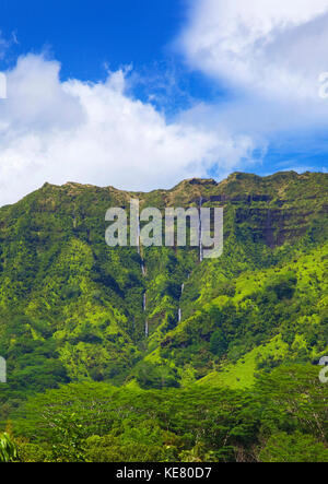 Wasserfälle in Makaleha Berge. Kauai, Hawaii, United States Stockfoto