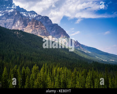 Dichten Wald von Nadelbäumen und die zerklüfteten Berge der Kanadischen Rocky Mountains im Banff National Park, Alberta, Kanada Stockfoto