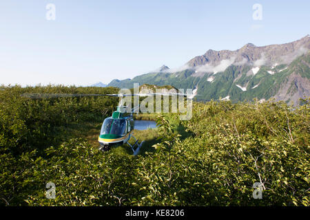 Bell Jet Ranger III Helikopter Landung in die Kachemak Bay State Park, Southcentral Alaska, USA Stockfoto