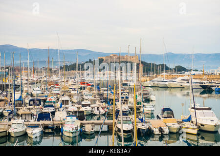 Fülle der Boote im Hafen; Antibes, Cote d'Azur, Frankreich Stockfoto