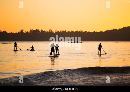 Fünf Frauen up Paddle Boarding auf dem Ozean in der Nähe von Tofino, auf Mackenzie Strand bei Sonnenuntergang; Tofino, Vancouver Island, British Columbia, Kanada Stand Stockfoto