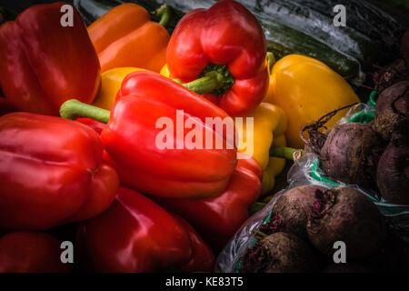 Gemüsefutter Nahaufnahmen auf lokalen Bauernmärkten rot, gelb, Paprika und Rüben. Stockfoto