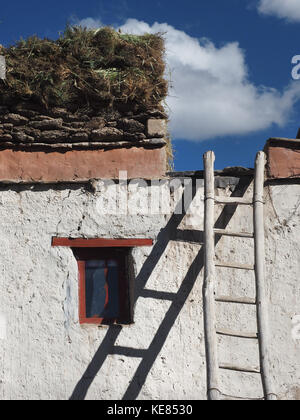 Tibetan House: eine weiße Wand, ein kleines Fenster, einer Leiter, auf einem flachen Dach legen die Bestände von Reisig für den Winter, Tibet. Stockfoto