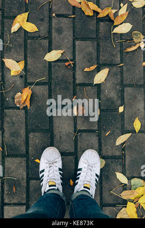 Männerbeine in weißen Turnschuhen und Jeans am Boden steht mit Herbstlaub, Ansicht von oben. Stockfoto