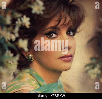 Gina Lollobrigida 65 Stockfoto