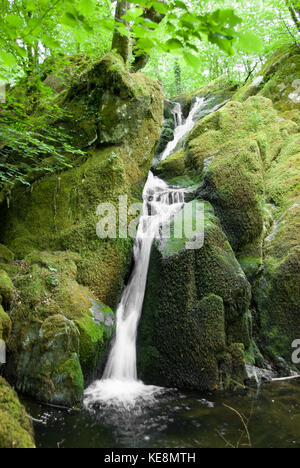 Stockghyll Force, Wasserfall in der Nähe von Ambleside, Lake District National Park, Großbritannien Stockfoto